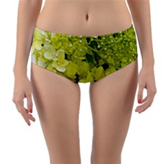 Elegant Chartreuse Green Limelight Hydrangea Macro Reversible Mid-waist Bikini Bottoms by myrubiogarden
