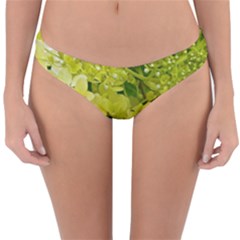 Elegant Chartreuse Green Limelight Hydrangea Macro Reversible Hipster Bikini Bottoms by myrubiogarden