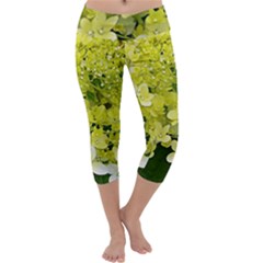 Elegant Chartreuse Green Limelight Hydrangea Macro Capri Yoga Leggings by myrubiogarden