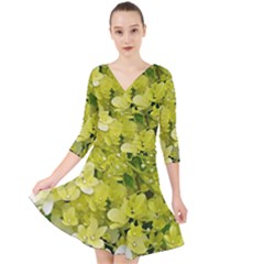 Elegant Chartreuse Green Limelight Hydrangea Macro Quarter Sleeve Front Wrap Dress by myrubiogarden