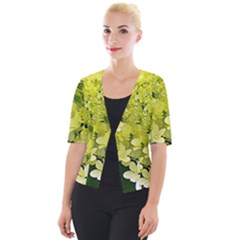 Elegant Chartreuse Green Limelight Hydrangea Macro Cropped Button Cardigan by myrubiogarden