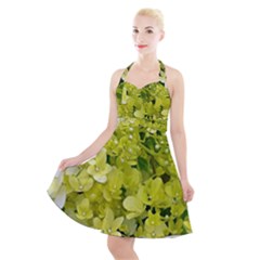 Elegant Chartreuse Green Limelight Hydrangea Macro Halter Party Swing Dress  by myrubiogarden