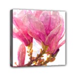 Wild Magnolia flower Mini Canvas 6  x 6  (Stretched)