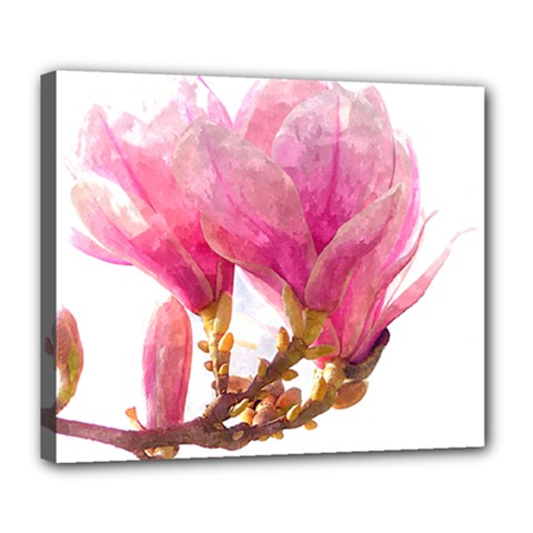 Wild Magnolia Flower Deluxe Canvas 24  X 20  (stretched) by picsaspassion