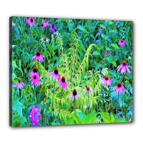 Purple Coneflower Garden With Tiger Eye Tree Canvas 24  X 20  (stretched)