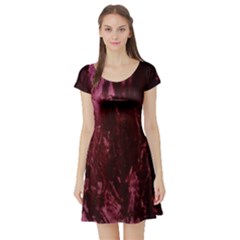 Wordsworth Crushed Velvet Short Sleeve Skater Dress