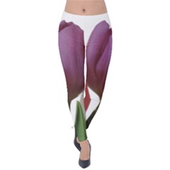 Tulips Bouquet Velvet Leggings by picsaspassion