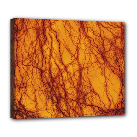 Lightning Internal Blood Vessel Deluxe Canvas 24  X 20  (stretched)