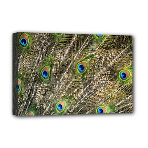 Green Peacock Feathers Color Plumage Deluxe Canvas 18  X 12  (stretched) by Pakrebo