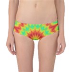 Kaleidoscope Background Mandala Red green Classic Bikini Bottoms