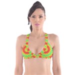 Kaleidoscope Background Mandala Red green Plunge Bikini Top