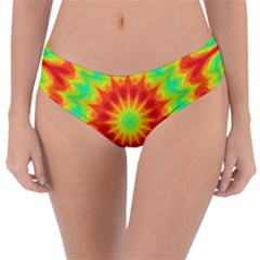 Kaleidoscope Background Mandala Red Green Reversible Classic Bikini Bottoms by Mariart