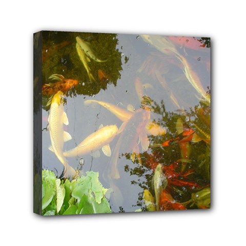 Koi Fish Pond Mini Canvas 6  X 6  (stretched) by StarvingArtisan