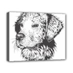 Dog Animal Domestic Animal Doggie Canvas 10  x 8  (Stretched)
