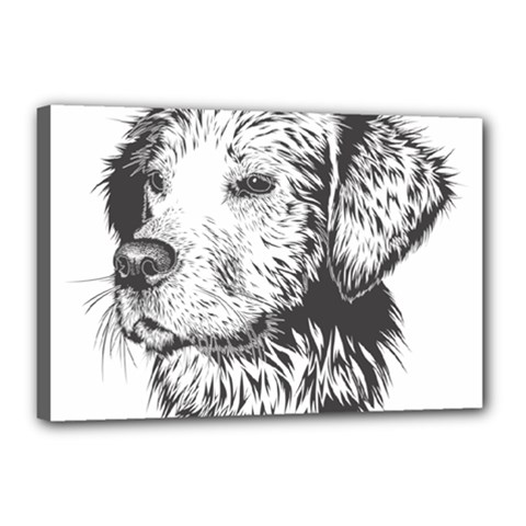 Dog Animal Domestic Animal Doggie Canvas 18  X 12  (stretched) by Wegoenart
