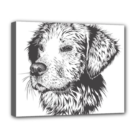 Dog Animal Domestic Animal Doggie Deluxe Canvas 20  X 16  (stretched) by Wegoenart