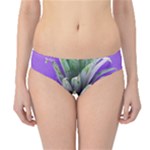 Pineapple Purple Hipster Bikini Bottoms