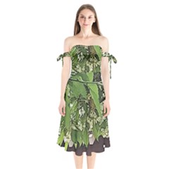 Garden Of The Phoenix  Shoulder Tie Bardot Midi Dress by Riverwoman
