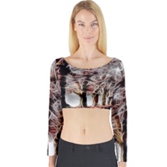 Autumn Fractal Forest Background Long Sleeve Crop Top