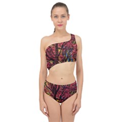 Autumn Colorful Nature Trees Spliced Up Two Piece Swimsuit by Sudhe