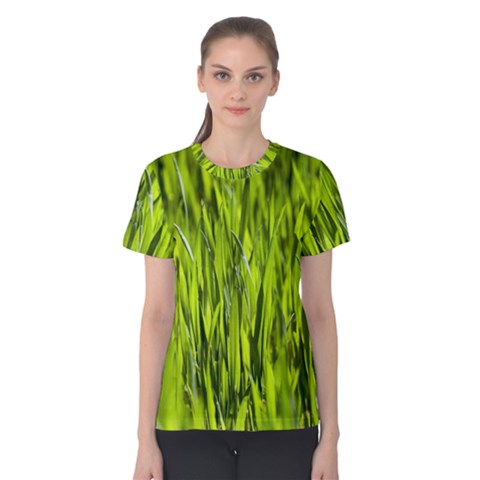 Agricultural Field   Women s Cotton Tee by rsooll