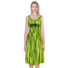 Agricultural Field   Midi Sleeveless Dress by rsooll