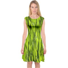 Agricultural Field   Capsleeve Midi Dress by rsooll