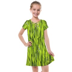 Agricultural Field   Kids  Cross Web Dress by rsooll