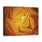 Electric Field Art LI Deluxe Canvas 20  x 16  (Stretched)