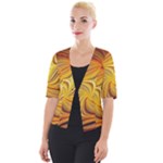 Electric Field Art LI Cropped Button Cardigan