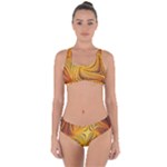 Electric Field Art LI Criss Cross Bikini Set