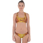 Electric Field Art LI Cross Back Hipster Bikini Set