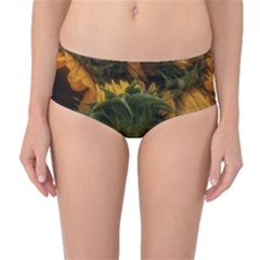 Bunch Of Sunflowers Mid-waist Bikini Bottoms by okhismakingart