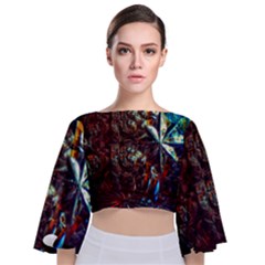Chamber Of Reflection Tie Back Butterfly Sleeve Chiffon Top by okhismakingart