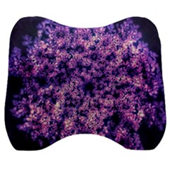 Queen Annes Lace In Purple And White Velour Head Support Cushion by okhismakingart