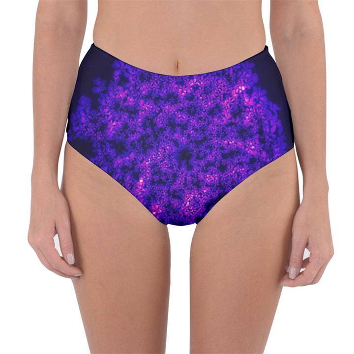 Queen Annes Lace in Blue and Purple Reversible High-Waist Bikini Bottoms
