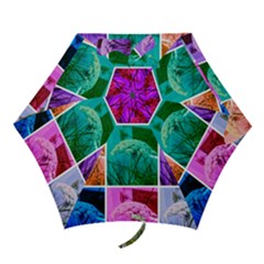 Color Block Queen Annes Lace Collage Mini Folding Umbrellas by okhismakingart