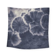 Tree Fungus Ii Square Tapestry (small) by okhismakingart