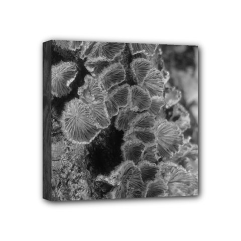 Tree Fungus Branch Vertical Black And White Mini Canvas 4  X 4  (stretched) by okhismakingart