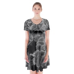 Tree Fungus Branch Vertical Black And White Short Sleeve V-neck Flare Dress by okhismakingart