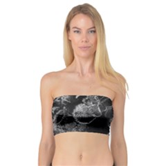 Tree Fungus Branch Vertical High Contrast Bandeau Top by okhismakingart