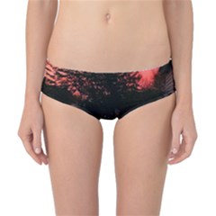 Daisies And Pink Classic Bikini Bottoms by okhismakingart