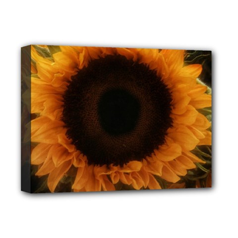 Single Sunflower Deluxe Canvas 16  X 12  (stretched)  by okhismakingart