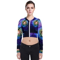 Rainbow Moon And Locust Tree Long Sleeve Zip Up Bomber Jacket by okhismakingart