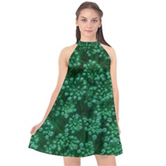 Green Queen Anne s Lace (up Close) Halter Neckline Chiffon Dress 