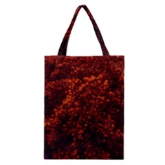 Red Goldenrod Classic Tote Bag by okhismakingart