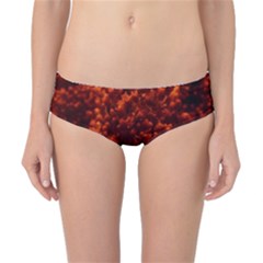 Red Goldenrod Classic Bikini Bottoms by okhismakingart