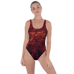 Red Goldenrod Bring Sexy Back Swimsuit by okhismakingart