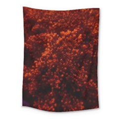 Red Goldenrod Medium Tapestry by okhismakingart