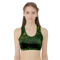 Green Goldenrod Sports Bra With Border